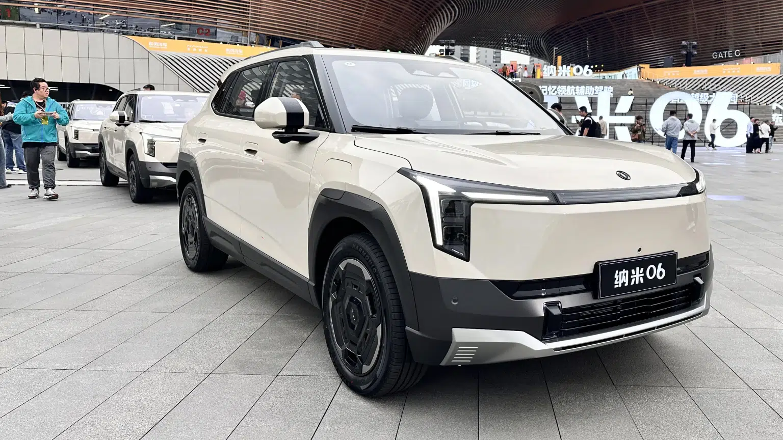 DONGFENG NAMMI 06