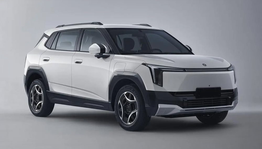 DONGFENG NAMMI 06